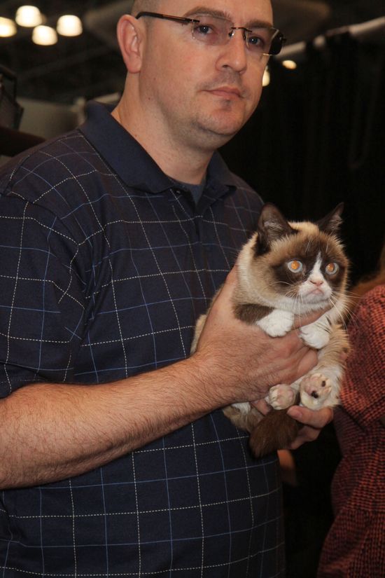 Grumpy Cat pokazał, gdzie ma swoich fanów (FOTO)