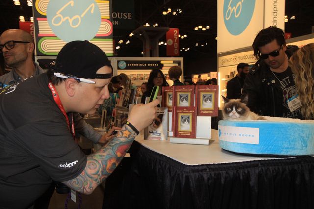 Grumpy Cat pokazał, gdzie ma swoich fanów (FOTO)