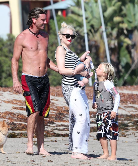 Dlaczego Gwen Stefani i Gavin Rossdale rozwodzą się? 