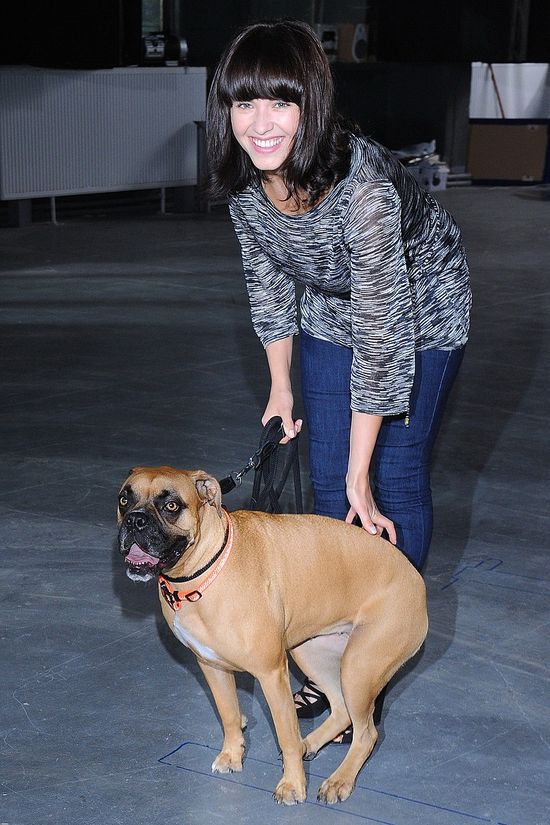 Gwiazdy na nagraniu teledysku Dla zwierząt lepszy świat 