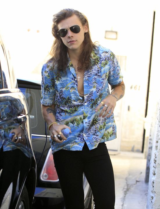 Kednall Jenner skomentowała nową fryzurę Harry'ego Stylesa