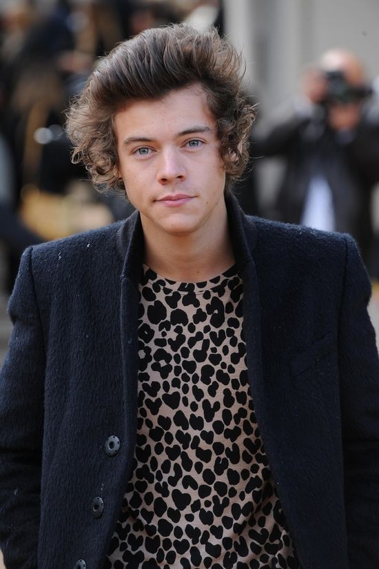 Harry Styles pojawi się w show Kardashianów?  