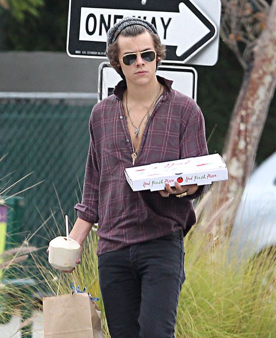 Kendall Jenner spotyka się z Harrym Stylesem? (FOTO)