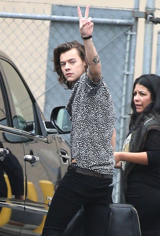 Co powiecie na taką parę - Harry Styles i Emma Watson?