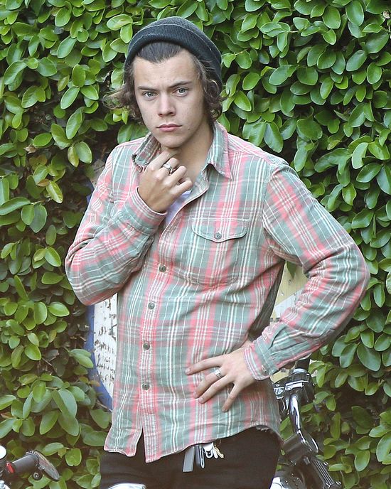 Kendall Jenner desperacko chce odzyskać Harry'ego Stylesa