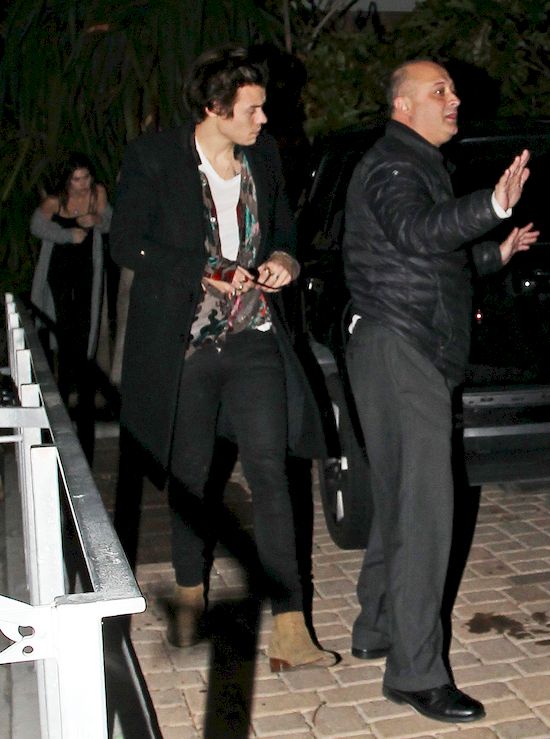 Nie uwierzysz, w jakim filmie chce wystąpić Harry Styles!