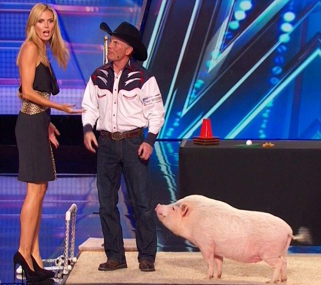 Heidi Klum całuje się ze świnią (FOTO)