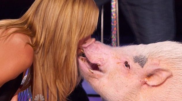 Heidi Klum całuje się ze świnią (FOTO)