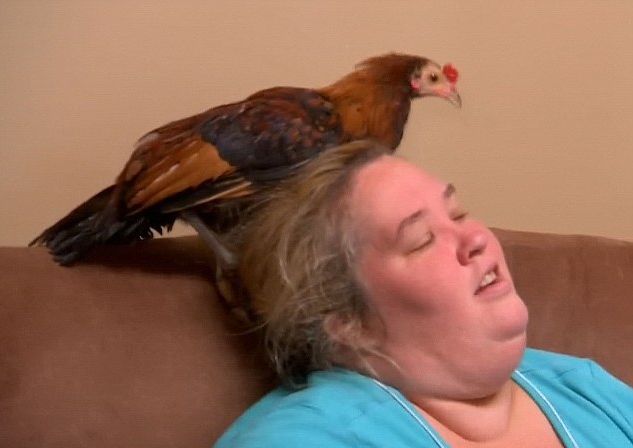 Honey Boo Boo wciąż zaskakuje (VIDEO)