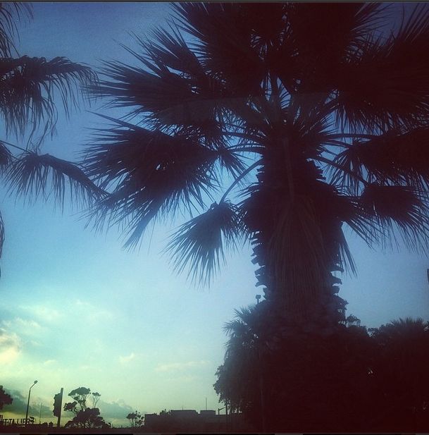 Honey zaszalała na Malcie (FOTO)