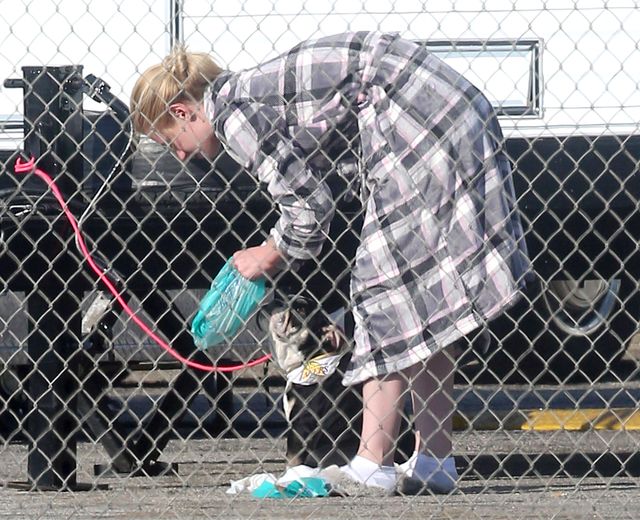 Iggy Azalea w kapciach kontra psia kupa (FOTO) Iggy Azalea w kapciach kontra psia kupa (FOTO)