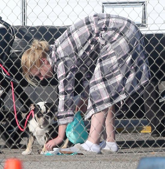 Iggy Azalea w kapciach kontra psia kupa (FOTO) Iggy Azalea w kapciach kontra psia kupa (FOTO)