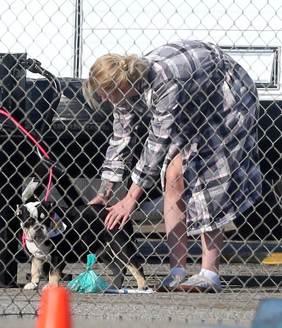 Iggy Azalea w kapciach kontra psia kupa (FOTO) Iggy Azalea w kapciach kontra psia kupa (FOTO)