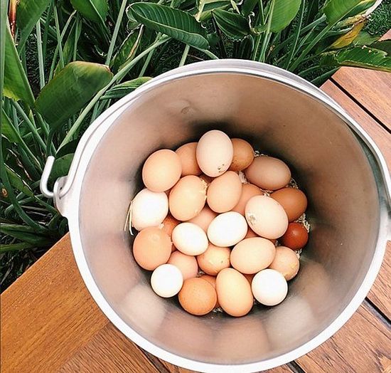 Jennifer Aniston nie boi się węglowodanów