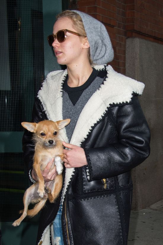 Ta różnica, gdy widzisz JLaw na czerwonym dywanie i na ulicy Ta różnica, gdy widzisz JLaw na czerwonym dywanie i na ulicy