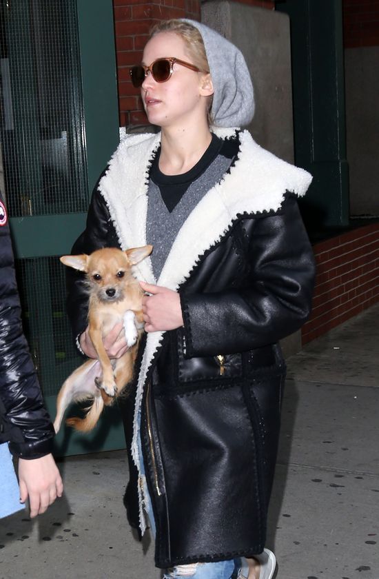 Ta różnica, gdy widzisz JLaw na czerwonym dywanie i na ulicy Ta różnica, gdy widzisz JLaw na czerwonym dywanie i na ulicy