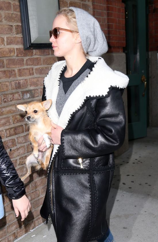 Ta różnica, gdy widzisz JLaw na czerwonym dywanie i na ulicy Ta różnica, gdy widzisz JLaw na czerwonym dywanie i na ulicy