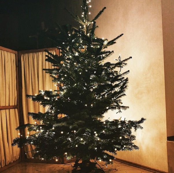 Gwiazdy chwalą się choinkami (FOTO)