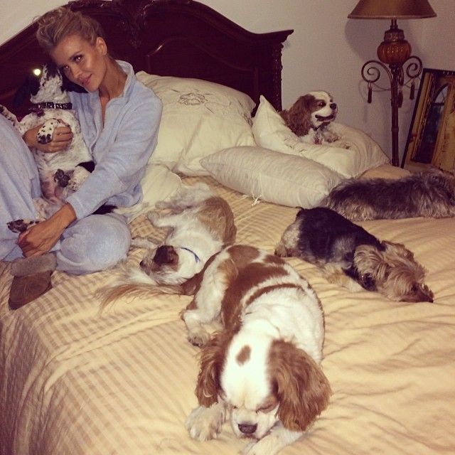 Joanna Krupa szykuje się do zamrożenia komórek jajowych? Joanna Krupa szykuje się do zamrożenia komórek jajowych?