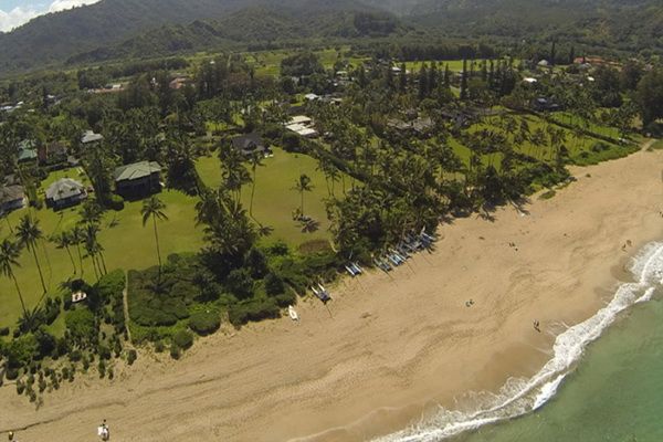 Nie uwierzycie, czyja to posesja!