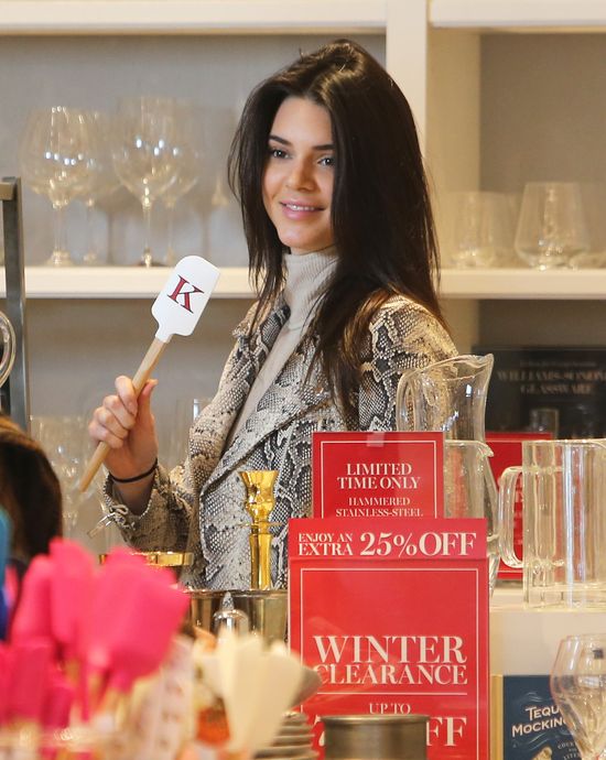 Kris w wielkim futrze i Kendall w skórze węża (FOTO)