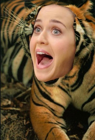 Nowa piosenka Katy Perry - Dark Horse  