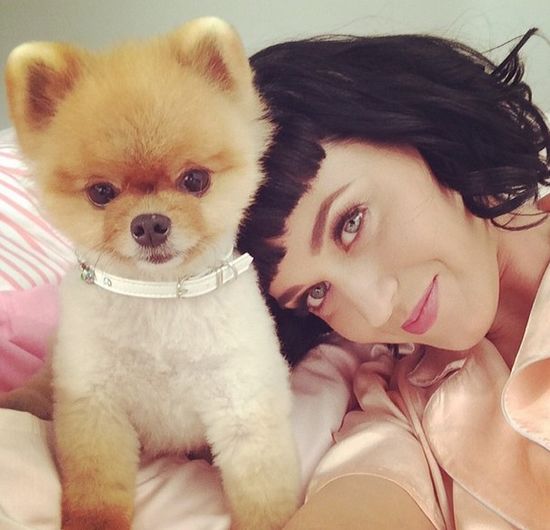 Zielonych włosów jeszcze nie miała! (FOTO)