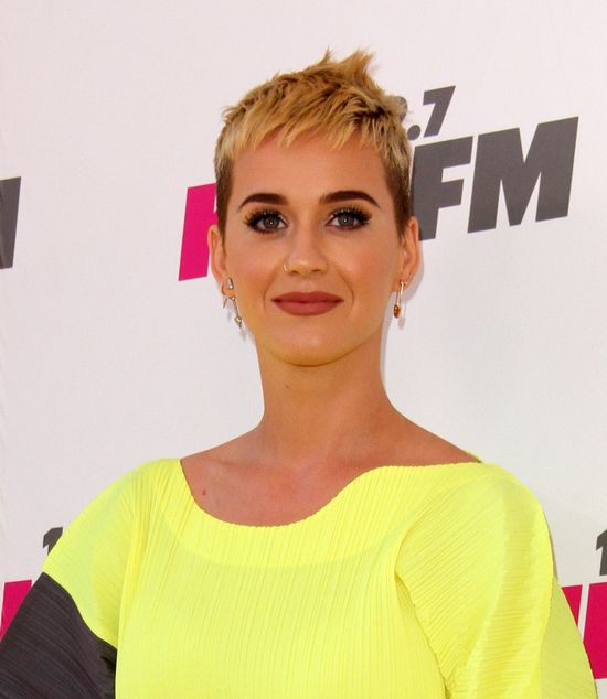 Katy Perry pokazała swoje ulubione video z internetu