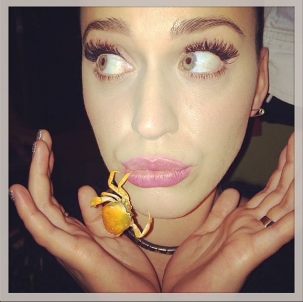 Co się stało Katy Perry? (FOTO) Co się stało Katy Perry? (FOTO)