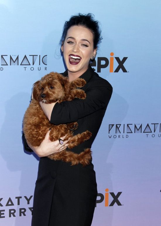 O czym myślała Katy Perry, kiedy zakładała TO? (FOTO)