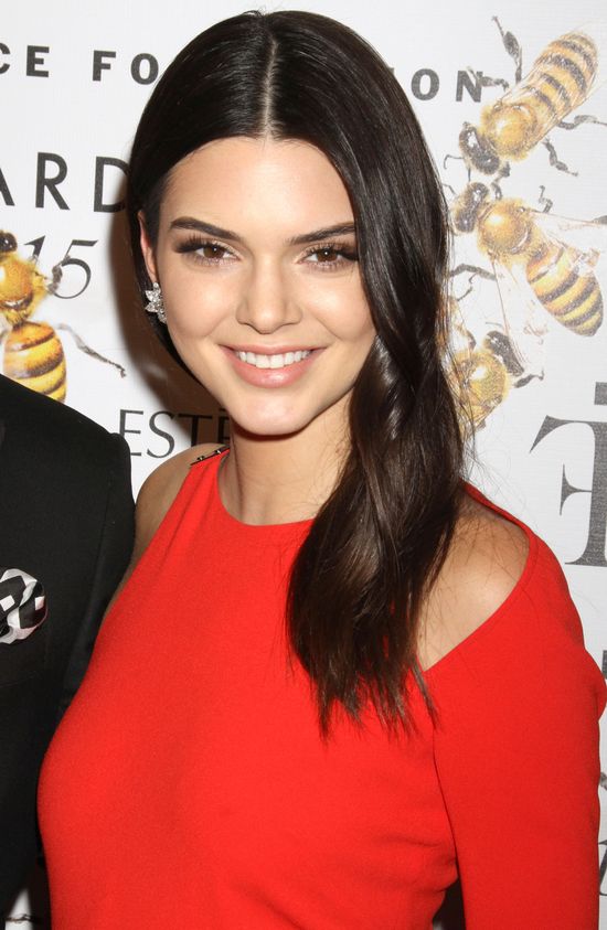 Kendall Jenner poszła na randkę z Lewisem Hamiltonem!