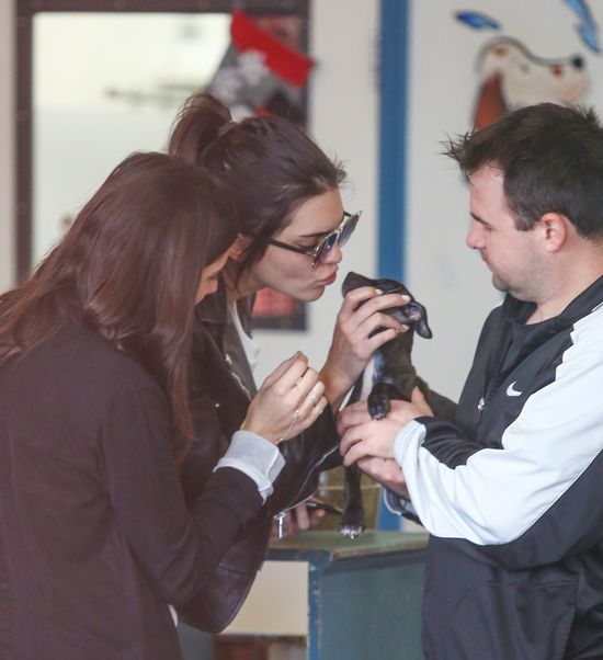 Pamiętacie aferę z głodzonymi psami Kylie Jenner? (FOTO)