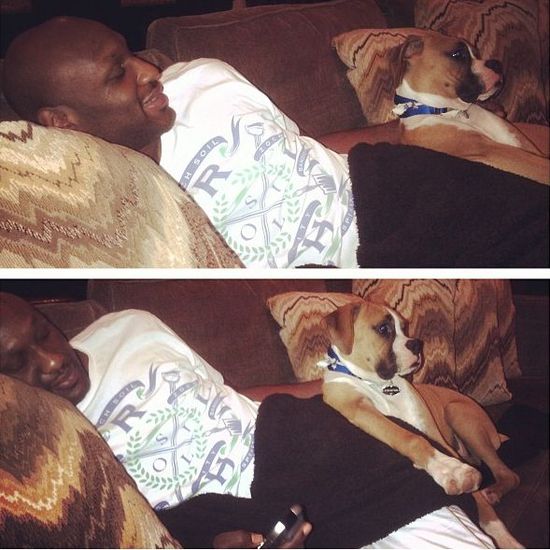 Lamar Odom zaginął?