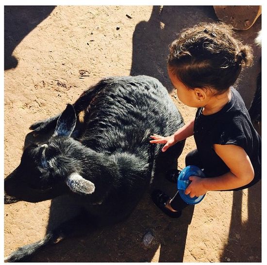 Ręce Kim Kardashian szczuplejsze od rąk Angeliny Jolie? Ręce Kim Kardashian szczuplejsze od rąk Angeliny Jolie?