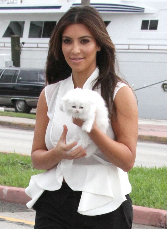 Asystenci zdradzają całą prawdę o gwiazdach! 