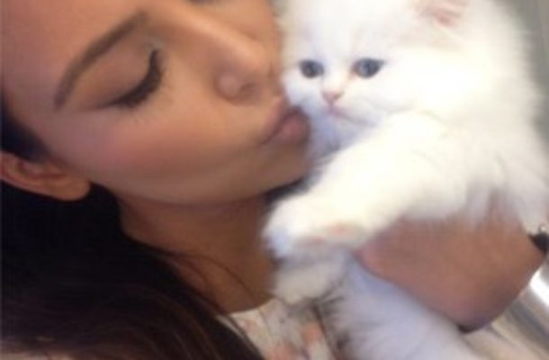 Mercy – kot Kim Kardashian pracuje na status gwiazdy (FOTO)