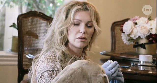 Kinga Korta pobiera nasienie psa przez kamerami (VIDEO) Kinga Korta pobiera nasienie psa przez kamerami (VIDEO)