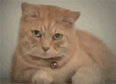 Justin Bieber zaśpiewał z Michaelem Jacksonem (VIDEO)