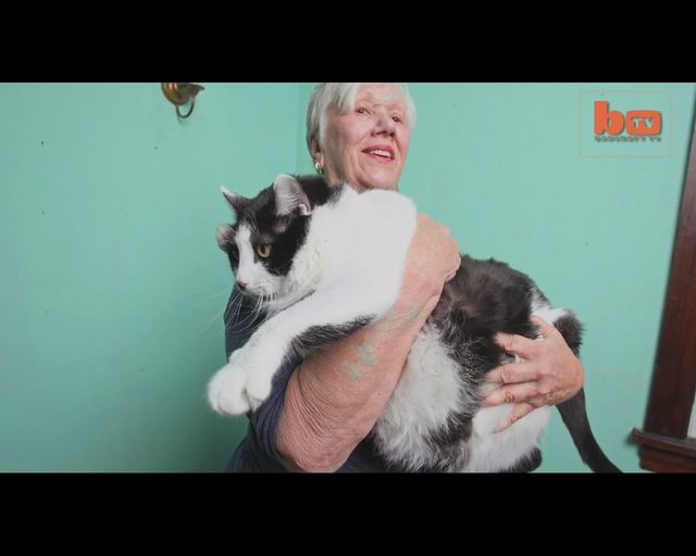 Ten kot jest tak GRUBY, że zamiat chodzić, CZOŁGA się VIDEO