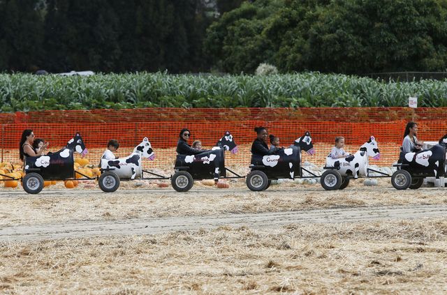 Iloma dziećmi na raz opiekuje się Kourtney Kardashian? (FOTO Iloma dziećmi na raz opiekuje się Kourtney Kardashian? (FOTO