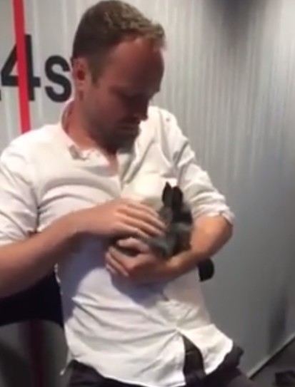 Zabił królika pompką do roweru Zabił królika pompką do roweru