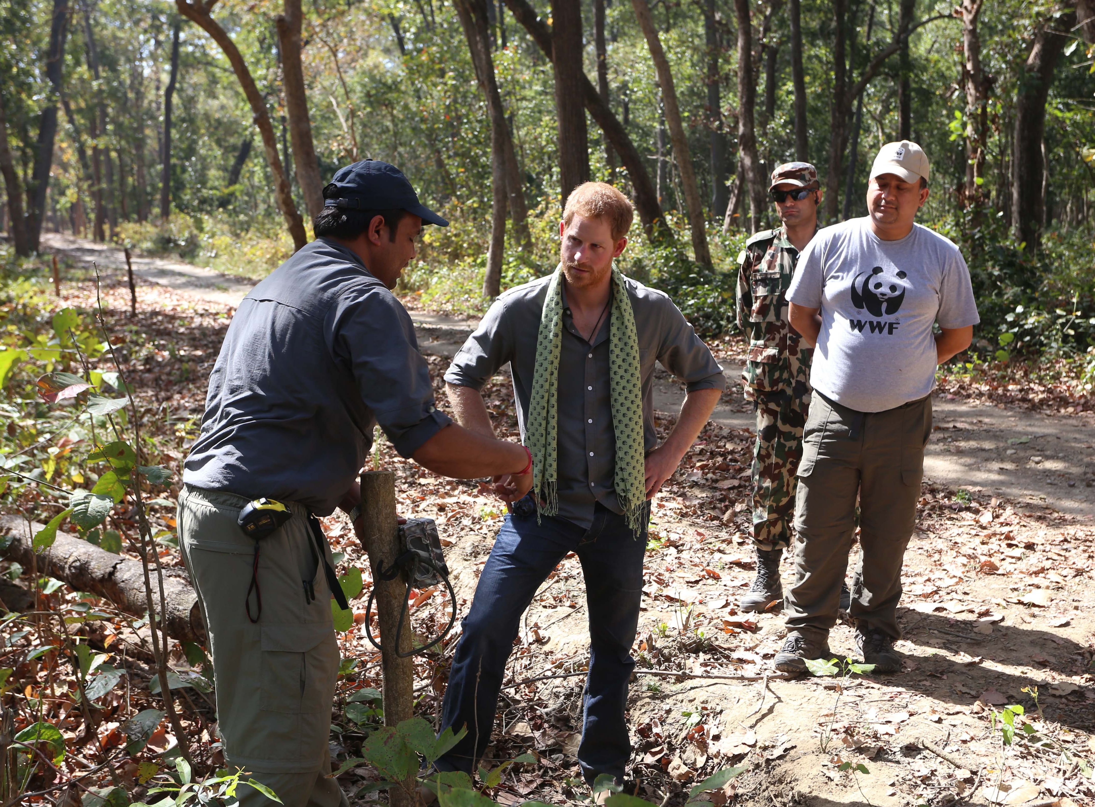Nie uwierzycie, dlaczego Meghan Markle ma słabość do Anglików 