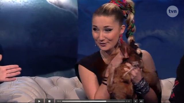 Skąd w studiu Wojewódzkiego pojawiły się odchody?! (VIDEO) Skąd w studiu Wojewódzkiego pojawiły się odchody?! (VIDEO)