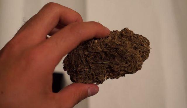 30 tys. ludzi kupiło zapakowaną kupę. Są zbulwersowani.