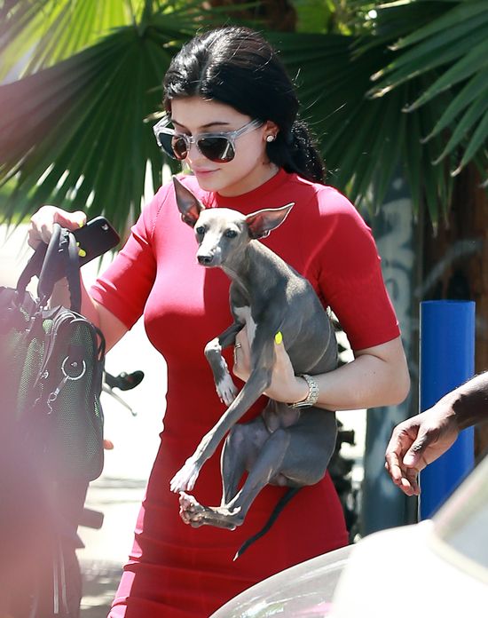 Tak wygląda Kylie Jenner W PRACY (FOTO)