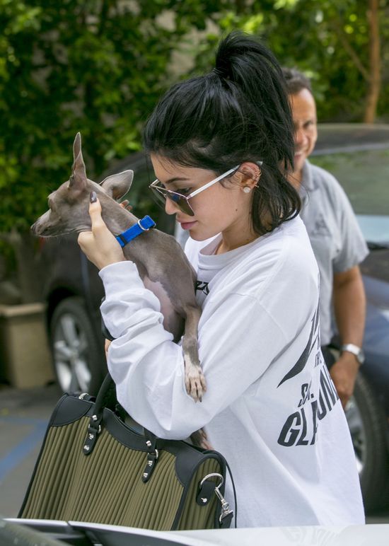 SZOK! Kylie Jenner BEZ makijażu i peruki! (FOTO) SZOK! Kylie Jenner BEZ makijażu i peruki! (FOTO)