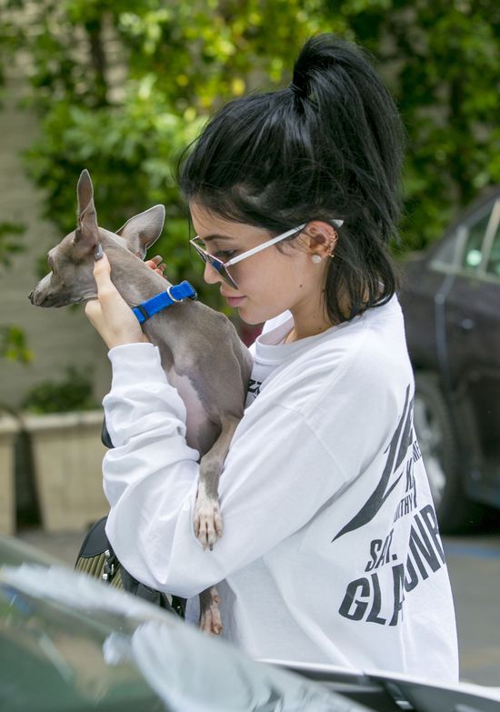 SZOK! Kylie Jenner BEZ makijażu i peruki! (FOTO) SZOK! Kylie Jenner BEZ makijażu i peruki! (FOTO)