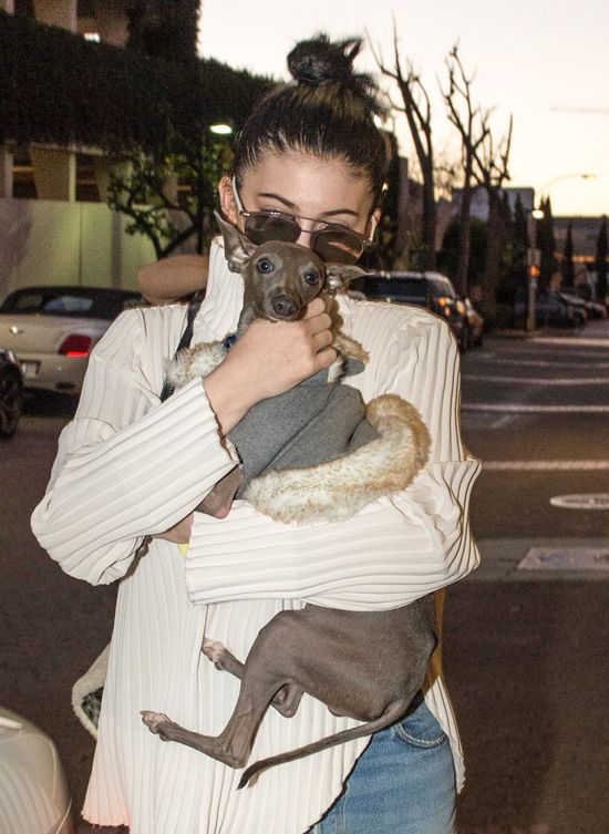 To reakcja Kylie Jenner na te potworne plotki? (FOTO)