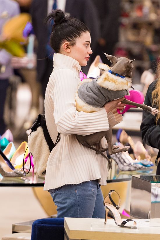 To reakcja Kylie Jenner na te potworne plotki? (FOTO)