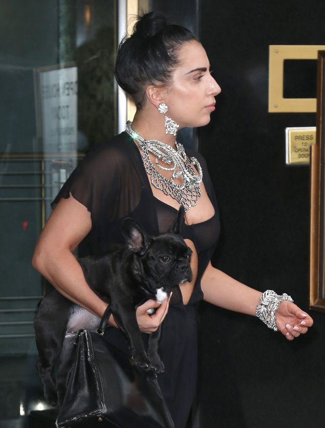 Lady Gaga dobrała PSA do stylizacji (FOTO)